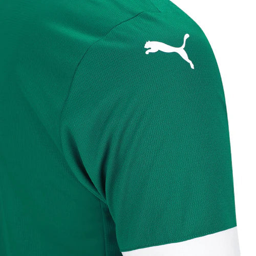 Camiseta Palmeiras 25/26 I Casa - Versión Aficionado