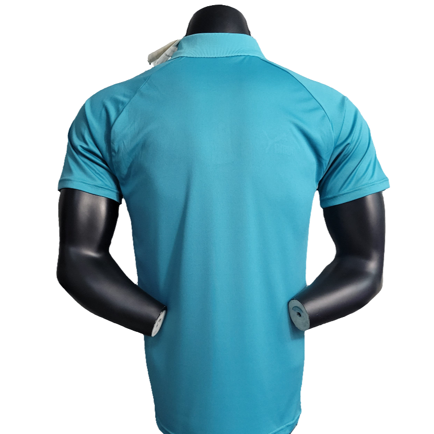 Camiseta Palmeiras 23/24 Edición Polo - Verde Claro - Versión Aficionado