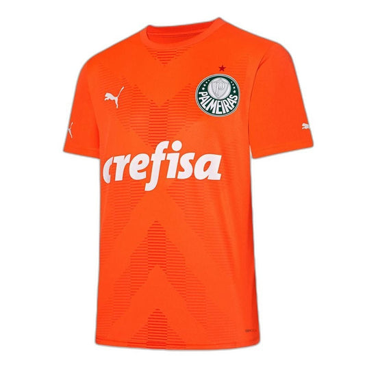Camiseta Palmeiras 23/24 Portero III Tercera - Versión Aficionado